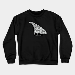 Treehopper with Common and Scientific Names - insect art Crewneck Sweatshirt